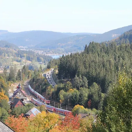 2-raum-ferienwohnung-mit-titiseeblick-in-1100-m-hoehe