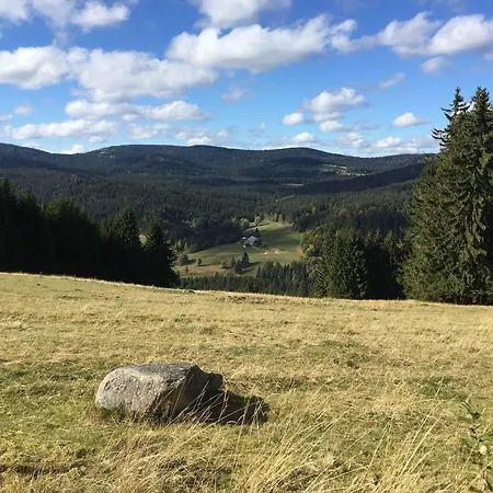 2-raum-ferienwohnung-mit-titiseeblick-in-1100-m-hoehe *
